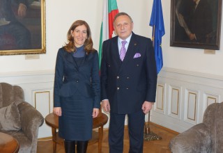 Министър Николина Ангелкова се срещна с председателя на БАН акад. Стефан Воденичаров